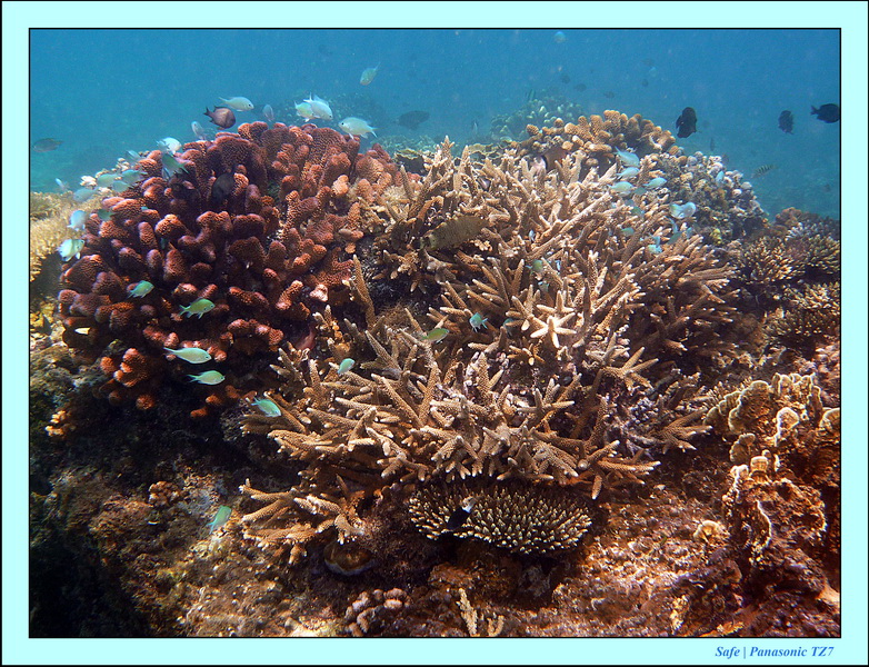 2012 - 07 - Boracay plongee - 17